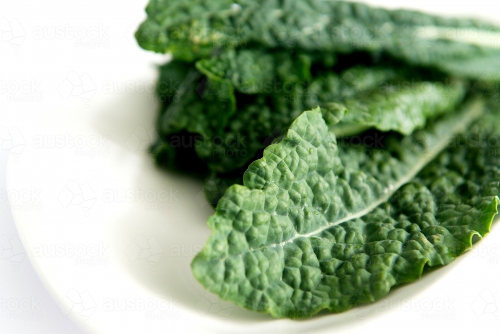 Fresh green kale on white - Australian Stock Image