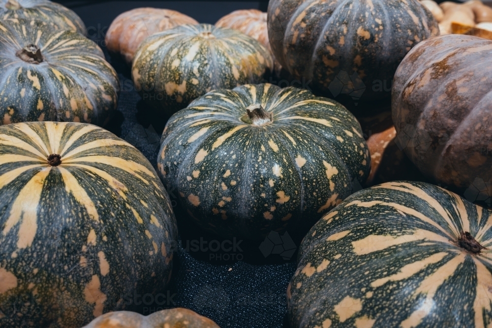 Fresh green pumpkins in the market - Australian Stock Image