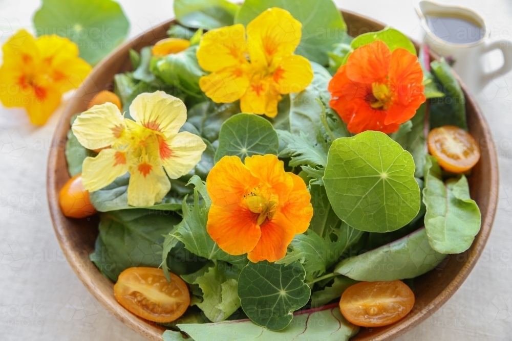 Fresh green salad with edible nasturtium flowers - Australian Stock Image