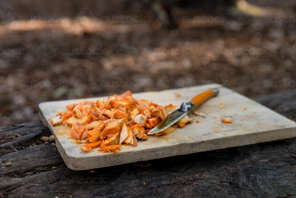 fresh orange pine mushroom on a cutting board - Australian Stock Image