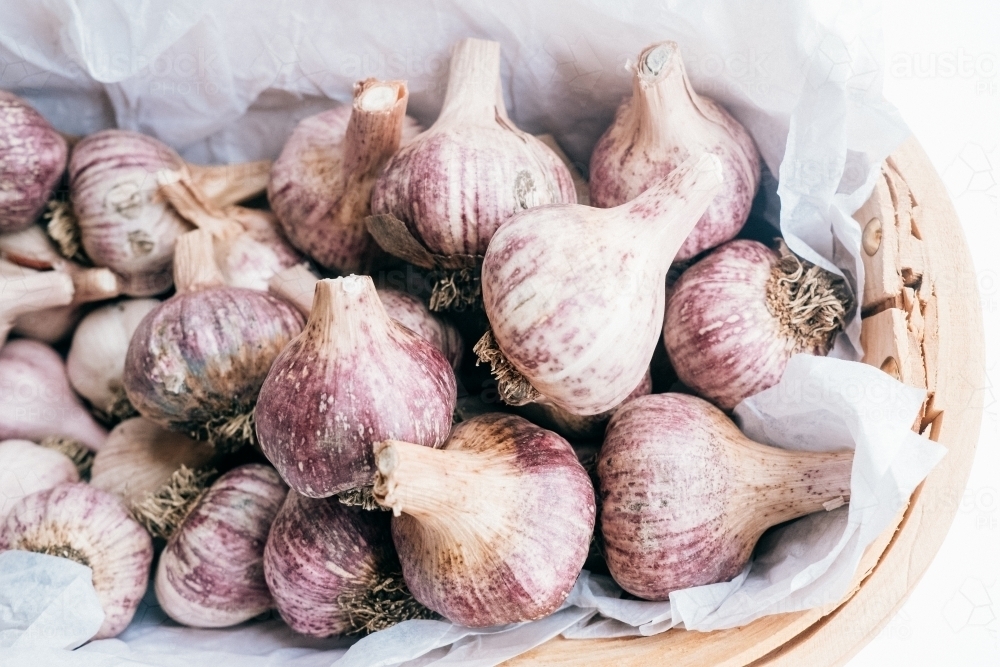 Fresh organic garlic - Australian Stock Image