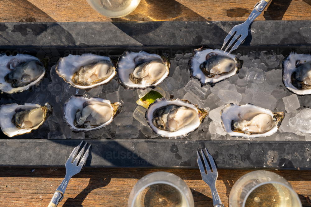 fresh oysters and forks opened shucked on board - Australian Stock Image