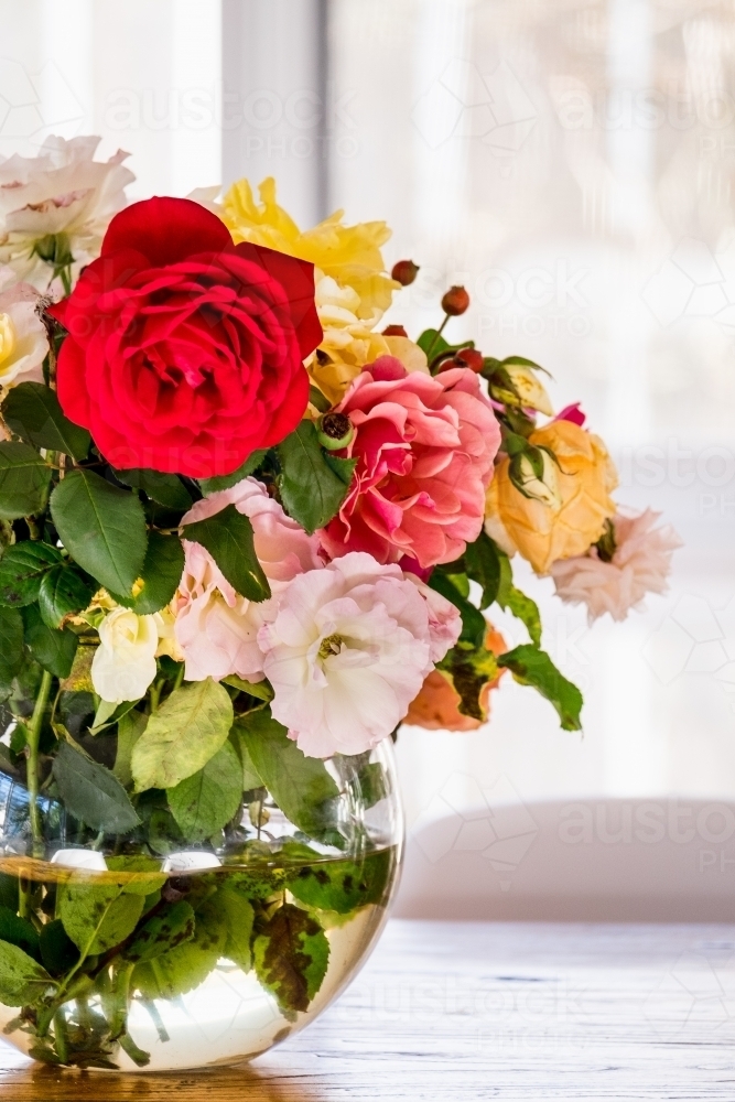 Fresh picked roses in a vase on the table - Australian Stock Image