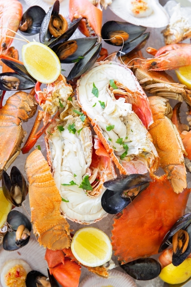Fresh Seafood Platter - Australian Stock Image