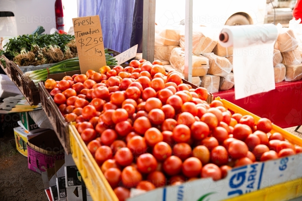 Fresh tomatoes for sale at a Brisbane farmer's market - Australian Stock Image