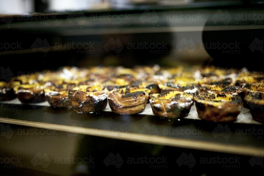 Freshly made Portugese tarts on shelf at bakery cafe - Australian Stock Image