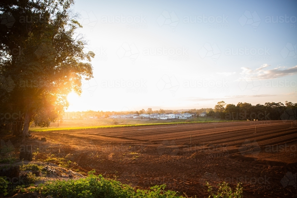 freshly ploughed field on a farm at sunset - Australian Stock Image