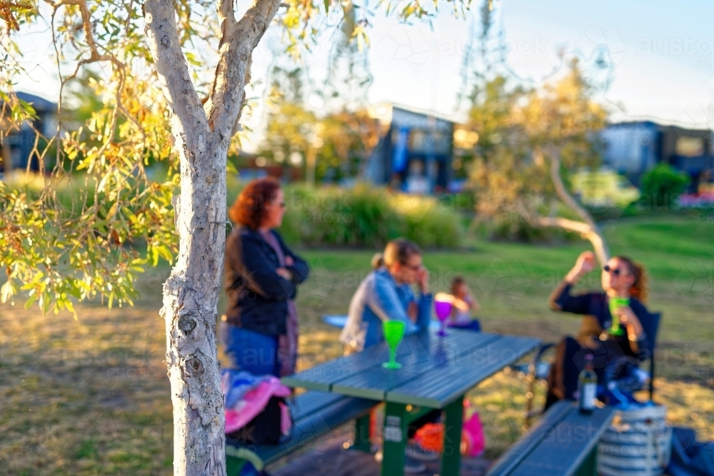 Friends sitting at a park table socialising with family at sunset - Australian Stock Image