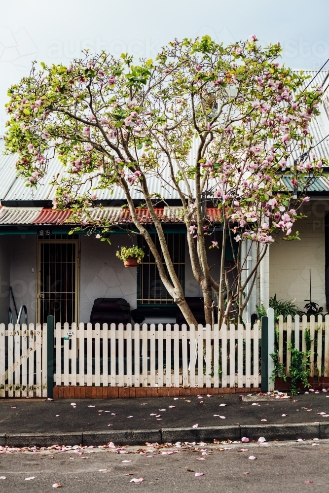 Front of old semi home - Australian Stock Image