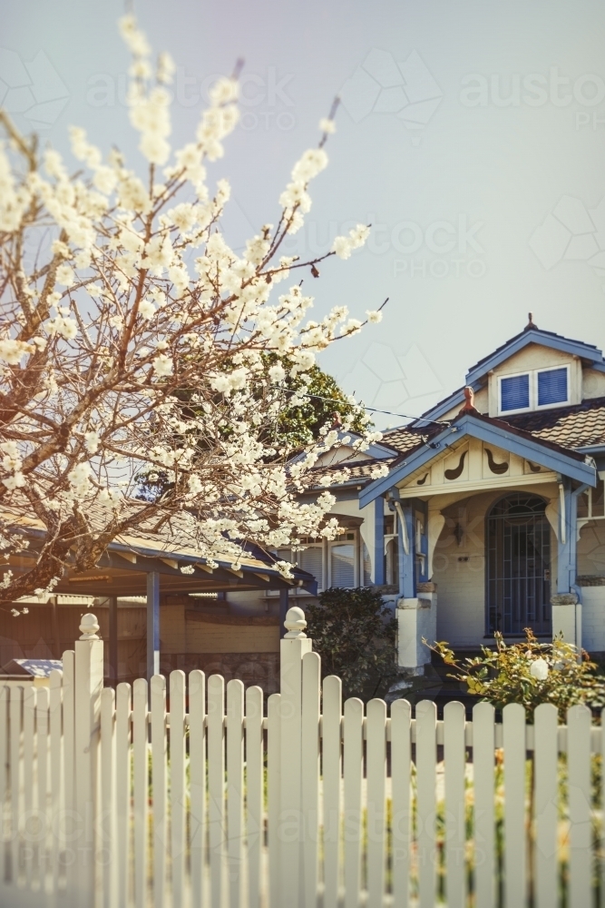 Front of traditional home in Spring - Australian Stock Image