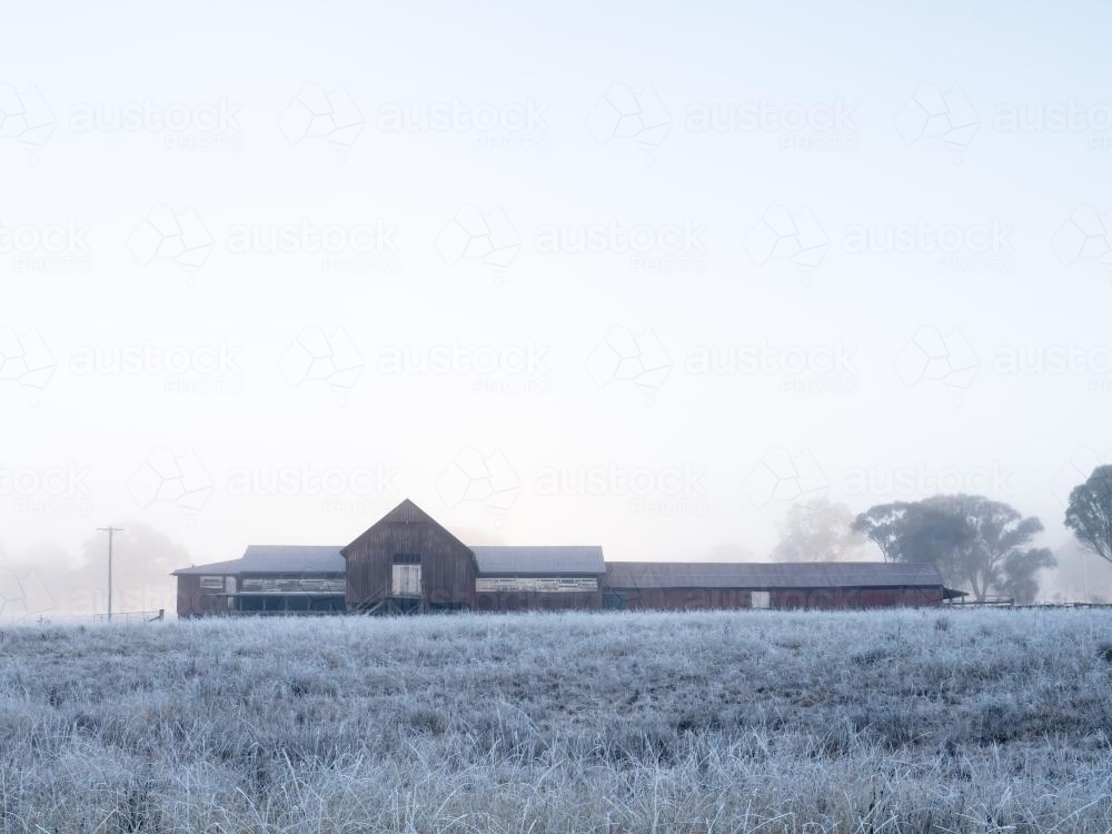 Frost covered Shearing Shed - Australian Stock Image