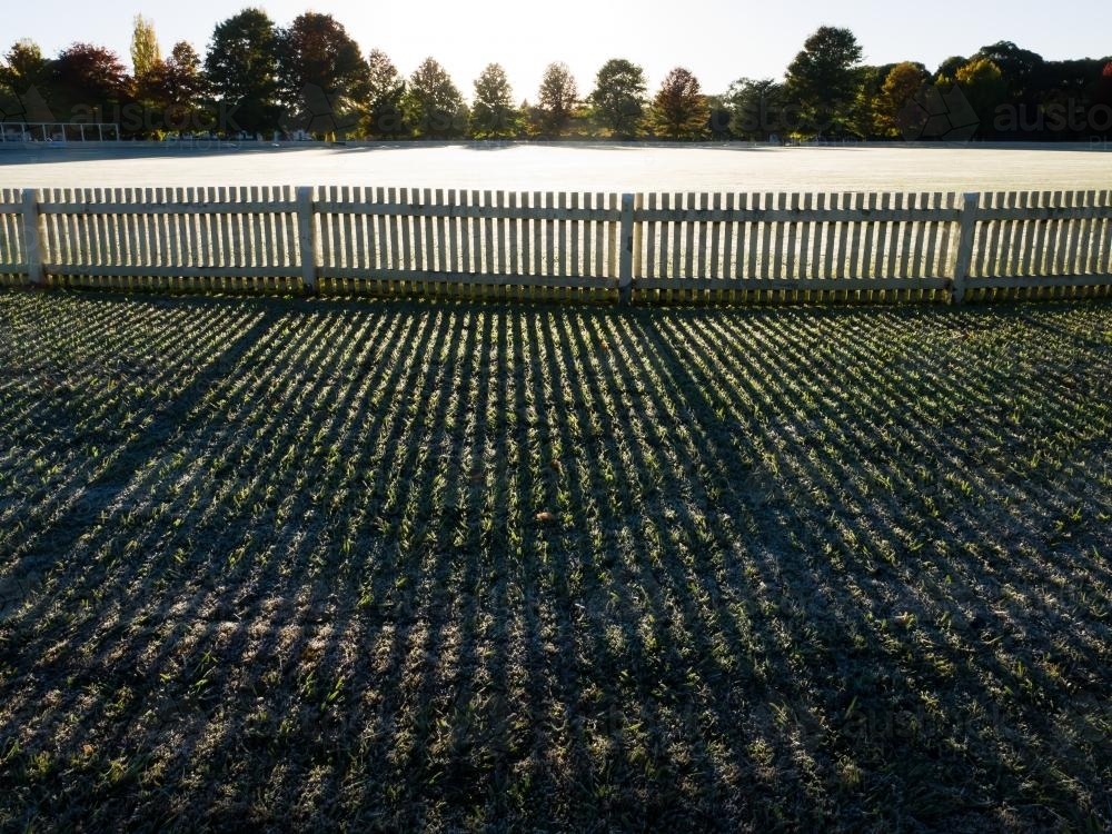 Frosty Bellevue Oval and fence at the University of New England - Australian Stock Image