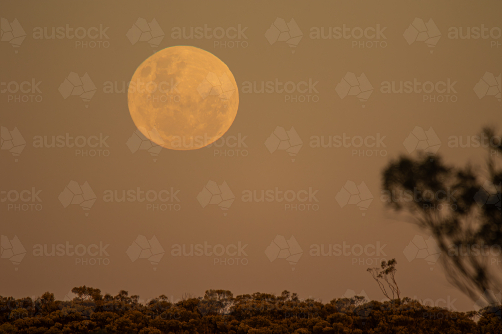 Full moon rising over the Grey Range - Australian Stock Image
