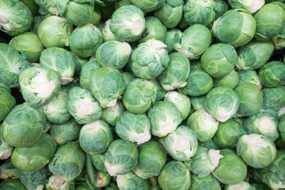 Full screen of brussels sprouts loose in the market. - Australian Stock Image