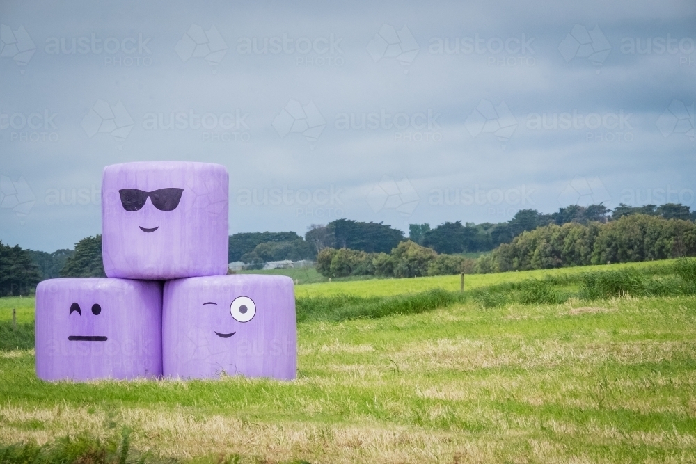 Funny face silage wrap in the paddock - Australian Stock Image