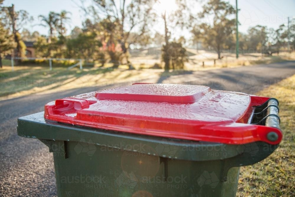 Garbage bin on the roadside early in the morning - Australian Stock Image