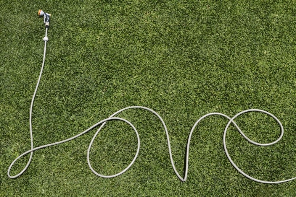 Garden hose shaped to form the word love on a green lawn - Australian Stock Image