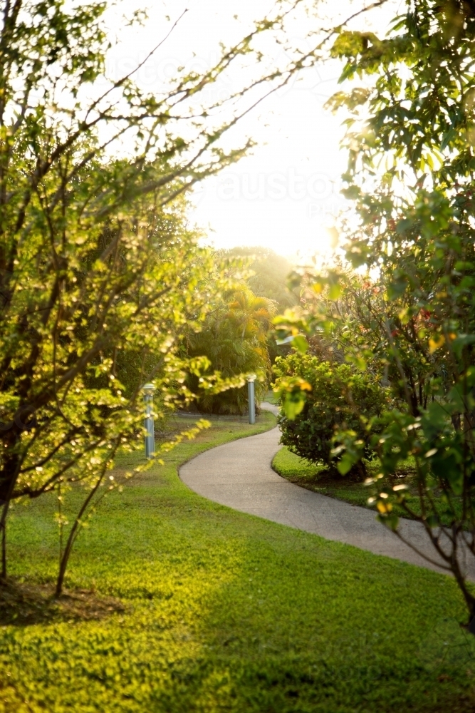 Garden path in the afternoon - Australian Stock Image