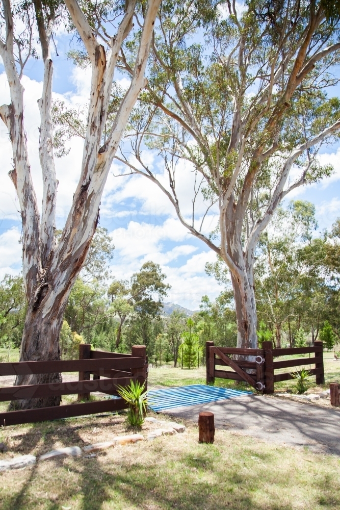 Gate and fence with cattle grid at property entrance - Australian Stock Image
