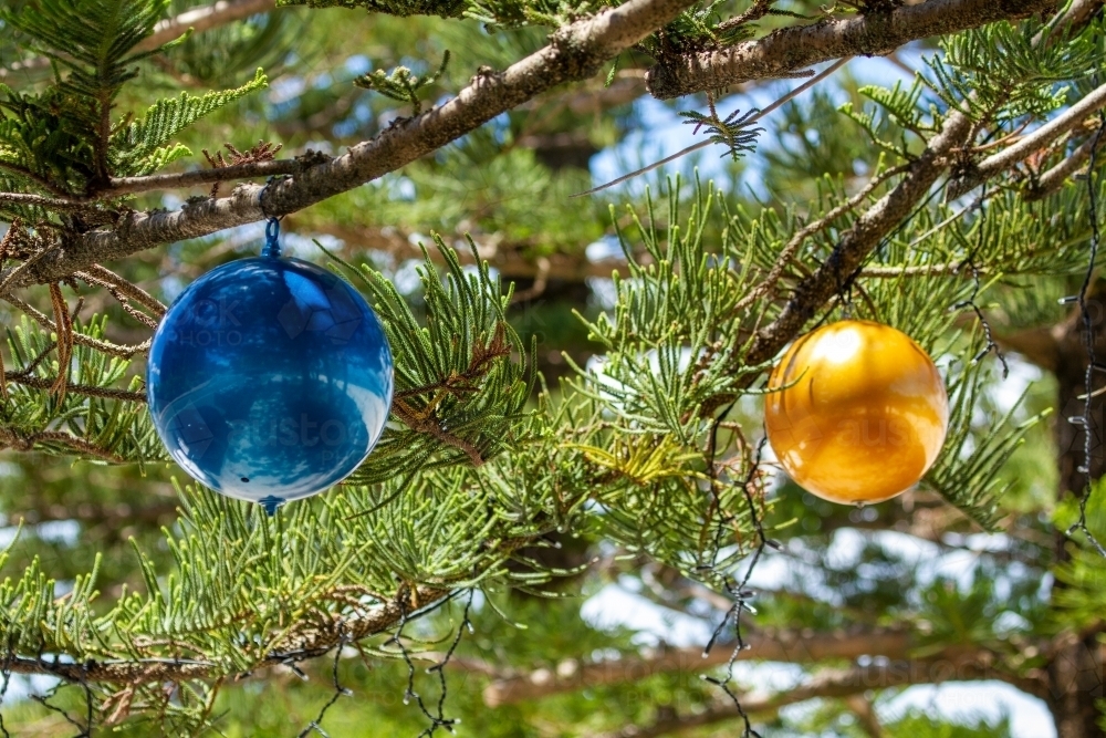 Giant Christmas baubles and decorations on tree. - Australian Stock Image