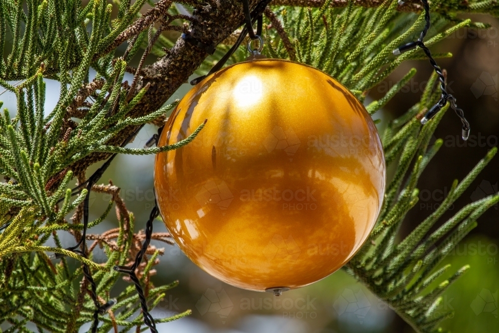 Giant Christmas baubles and decorations on tree. - Australian Stock Image
