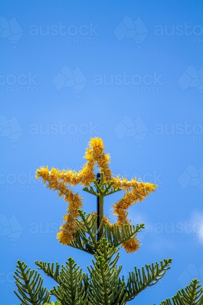 Giant Christmas star decoration on tree. - Australian Stock Image