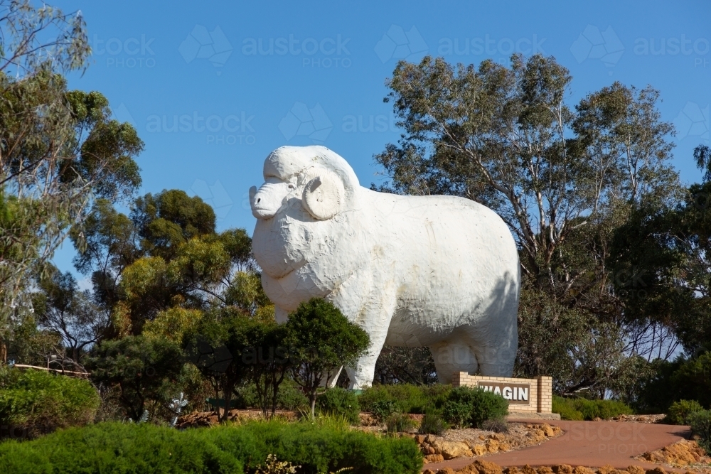 Giant Ram in Wagin, Western Australia - Australian Stock Image