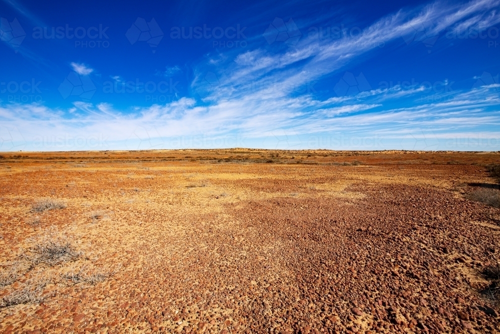 gibber plains in the Australian outback - Australian Stock Image