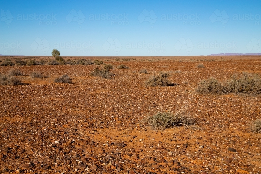 gibber plains under blue sky - Australian Stock Image