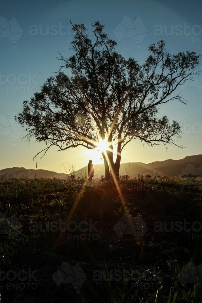 Girl and tree silhouetted in sunrise over a mountain, sun shines through branches - Australian Stock Image