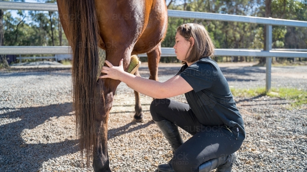 Girl brushing down horse - Australian Stock Image