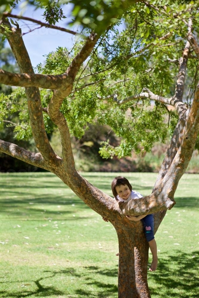 Girl climbing a tree in a park - Australian Stock Image