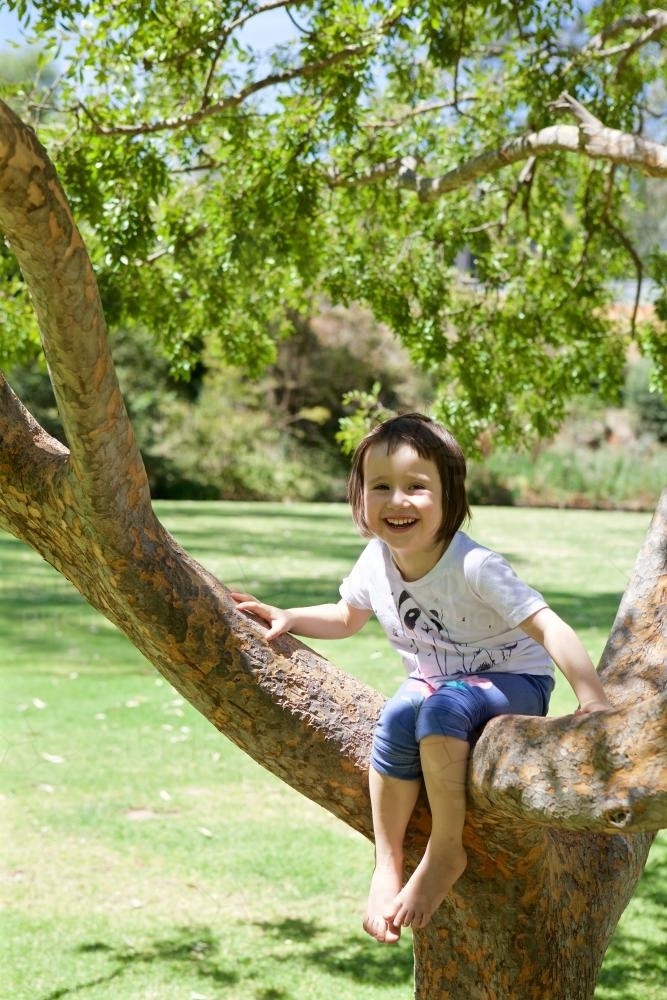 Girl climbing and sitting in a tree in a park - Australian Stock Image