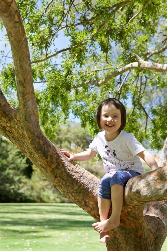 Girl climbing and sitting in a tree in a park - Australian Stock Image