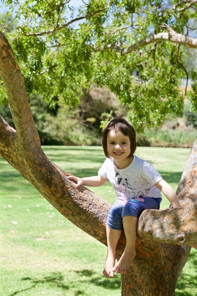 Girl climbing and sitting in a tree in a park - Australian Stock Image