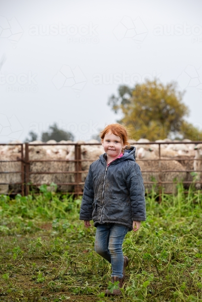 Girl helping in the sheep yards on a rainy day - Australian Stock Image