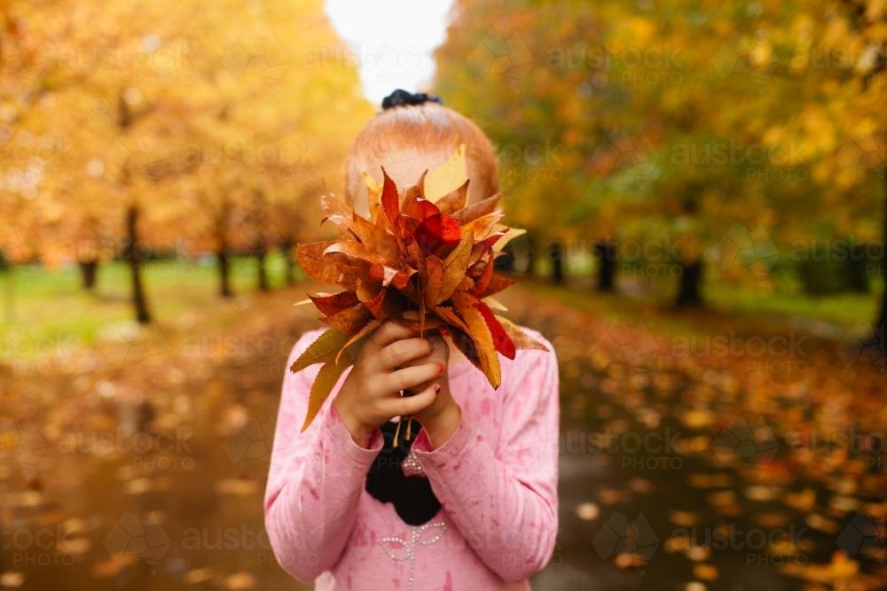 Girl holding autumn leaves up to her face - Australian Stock Image