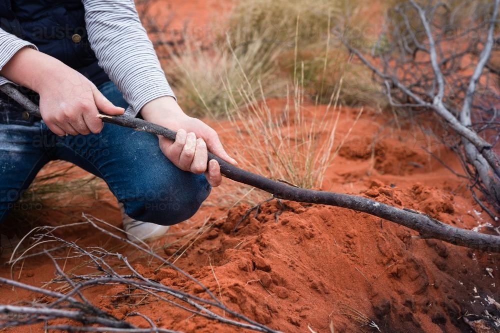 Girl holds a stick for cooking damper over an open fire in the outback - Australian Stock Image