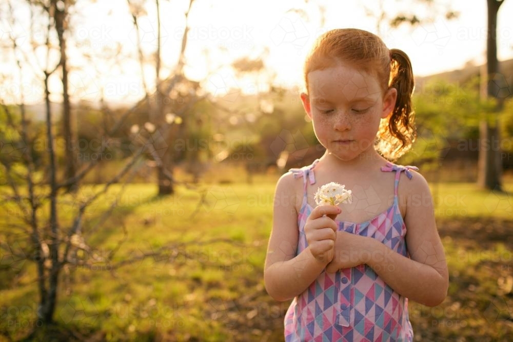 Girl in a field looking at flowers - Australian Stock Image