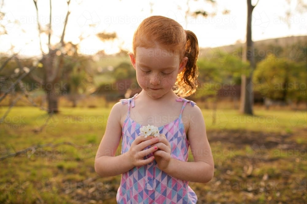 Girl in a field looking at some flowers - Australian Stock Image