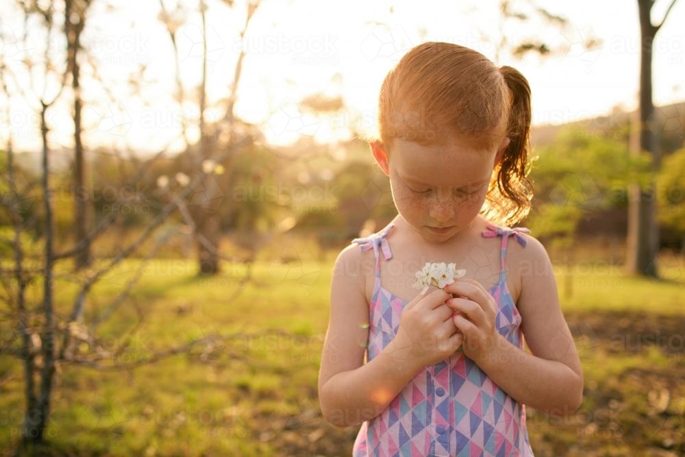 Girl in a field looking down at flowers : Austockphoto Girl in a field looking down at flowers - Australian Stock Image