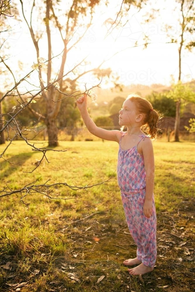 Girl in a field looking up at flowers - Australian Stock Image