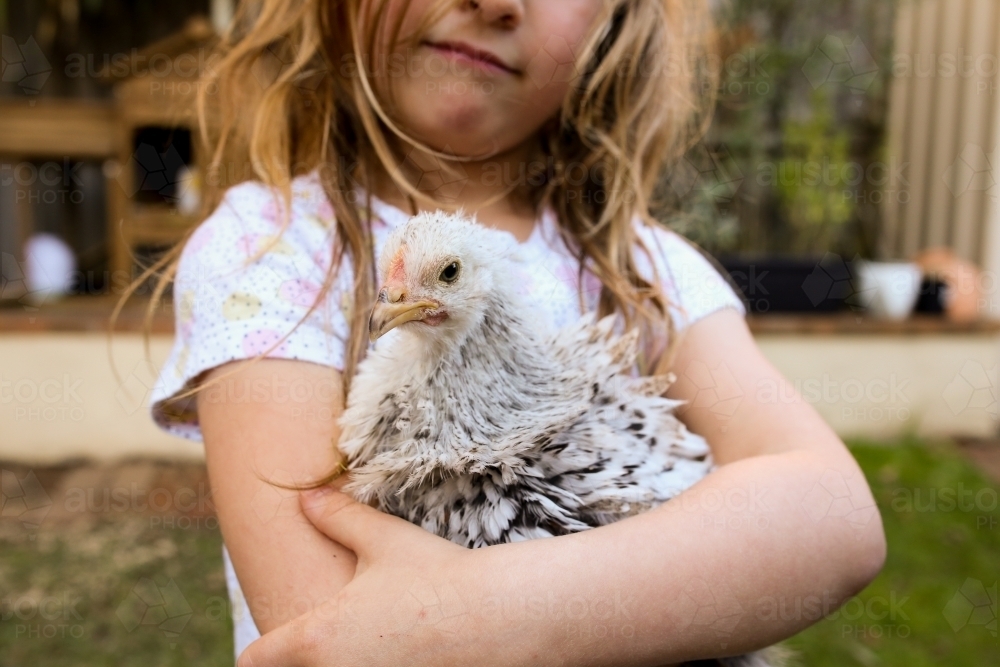 Girl in backyard holding a pet frizzle chicken - Australian Stock Image