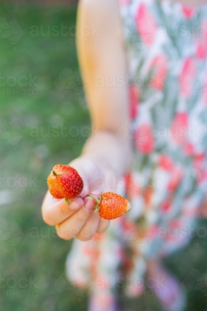 Image of Girl in garden holding out pair of fresh picked home grown ...