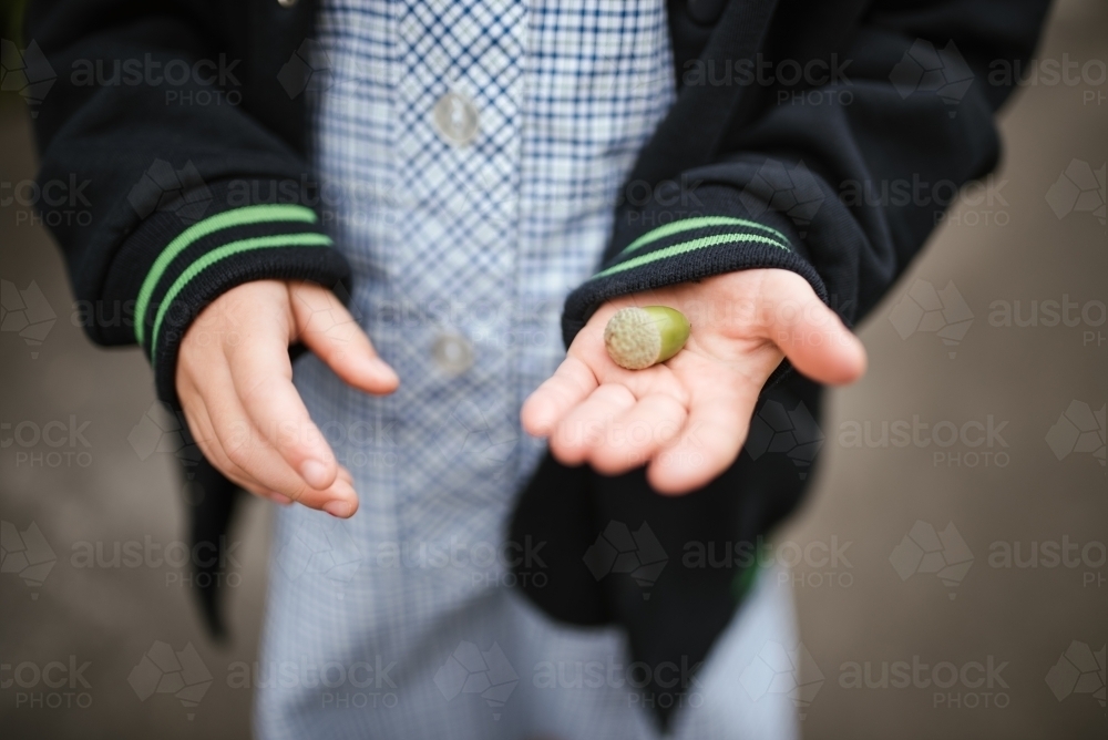 Girl in school uniform holds acorn - Australian Stock Image