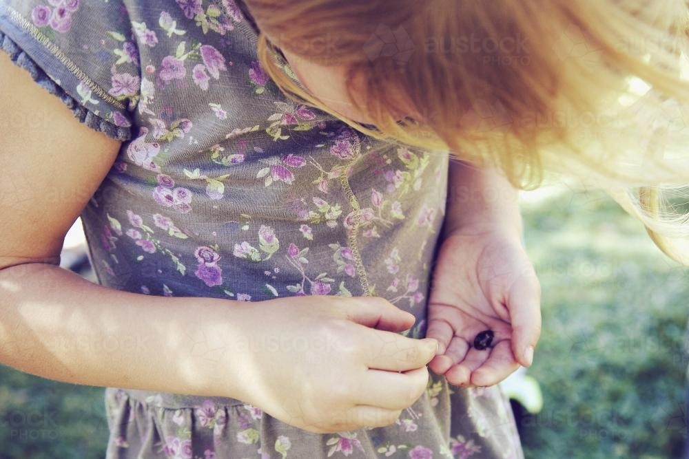 Girl looking at a ladybug in her hand - Australian Stock Image