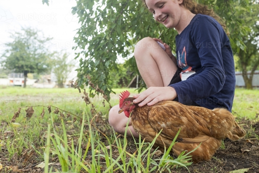 Girl patting chicken in backyard - Australian Stock Image
