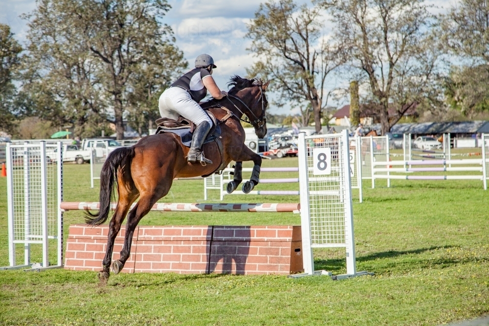 Image of Girl riding brown horse around the show jumping course at the agricultural show