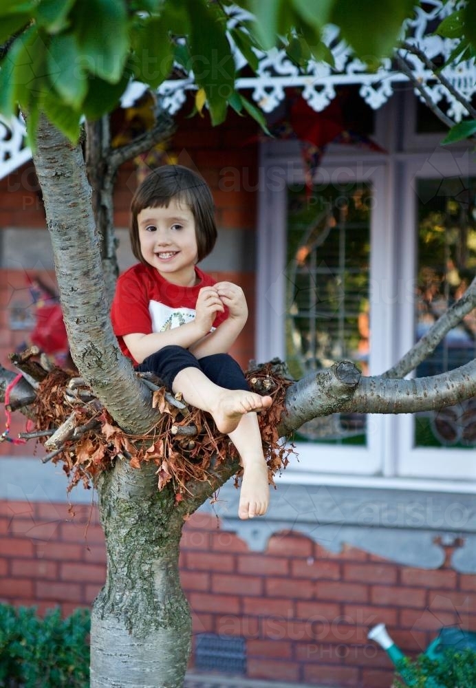 Girl sitting in a tree in the front garden of a terrace house - Australian Stock Image