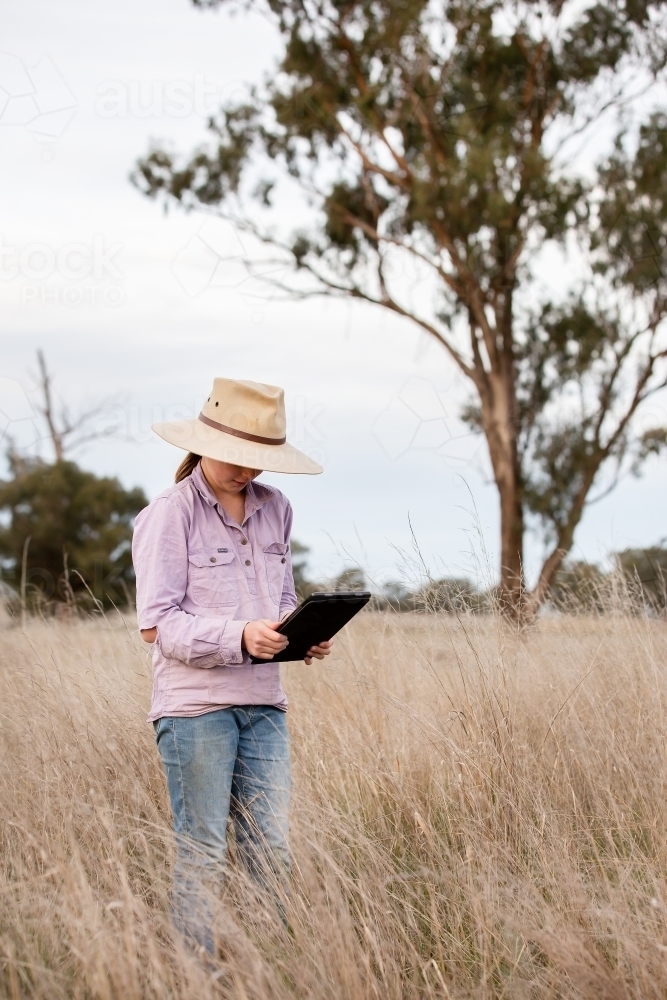 Girl uses an ipad in a farm paddock - Australian Stock Image